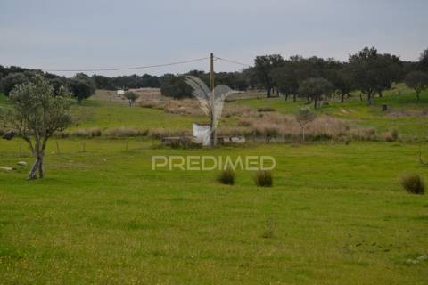 Herdade da capela
