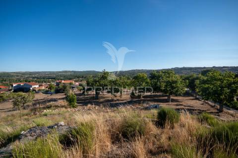 Quinta com enorme potencial turístico a 5 km de trancoso