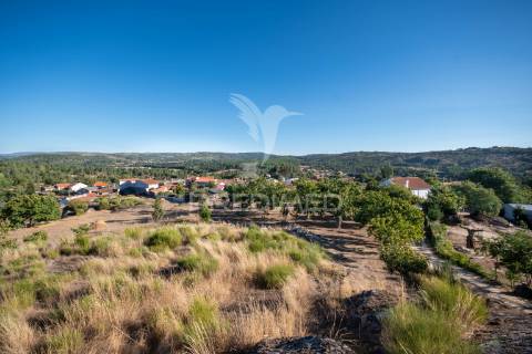 Quinta com enorme potencial turístico a 5 km de trancoso