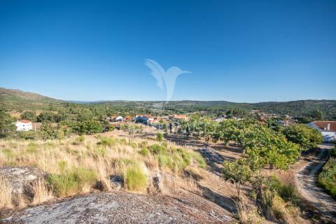 Quinta com enorme potencial turístico a 5 km de trancoso