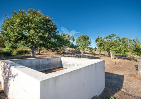 Quinta com enorme potencial turístico a 5 km de trancoso