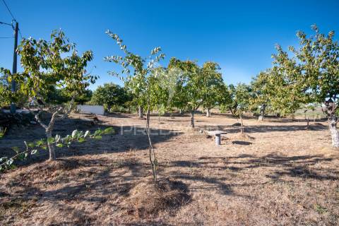 Quinta com enorme potencial turístico a 5 km de trancoso