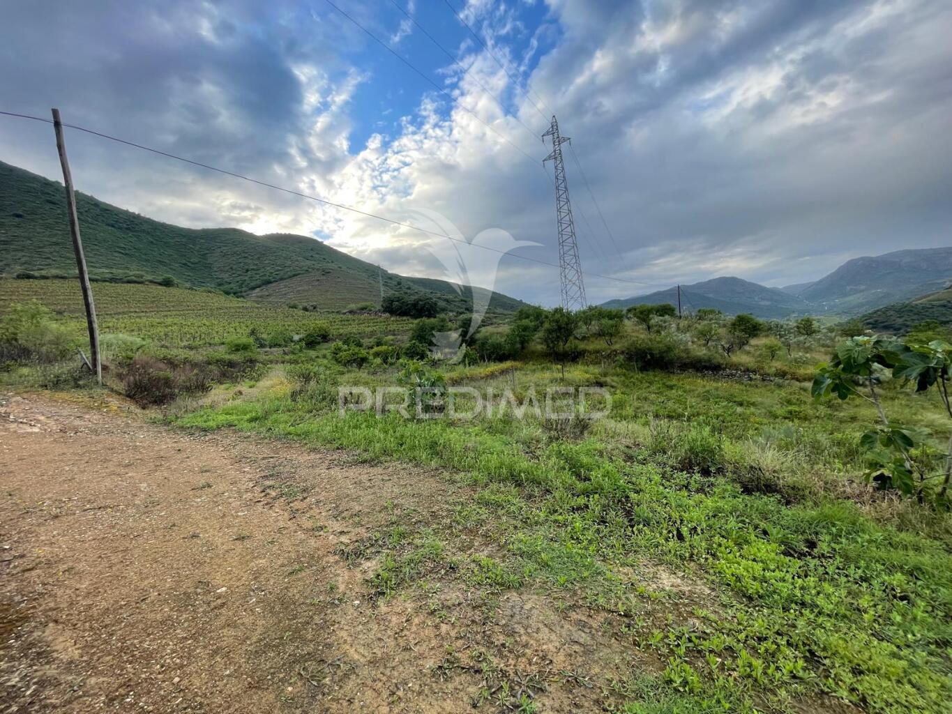 Quinta agrícola com 2,3 hectares em murça | vila nova de foz côa