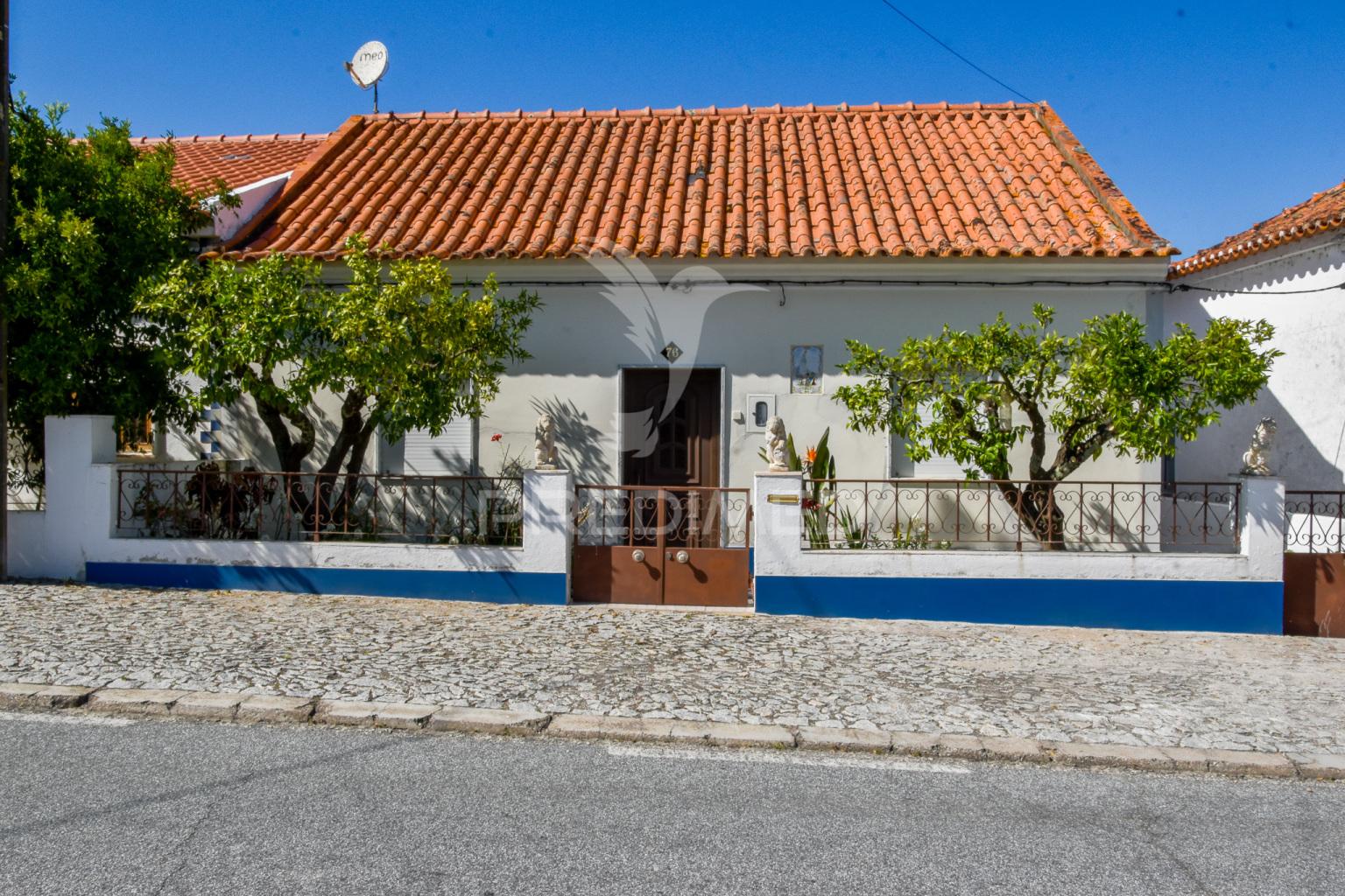 Moradia térrea no sabugueiro