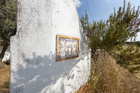 Monte típico alentejano    t 7