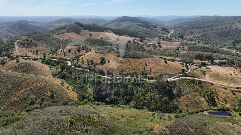 Monte alentejano a 50 km da costa com 90.000 m2 com sobreiros