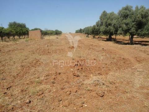 Terreno rustico com água de furo 7000m2