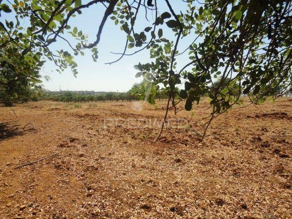 Terreno rustico com água de furo 7000m2