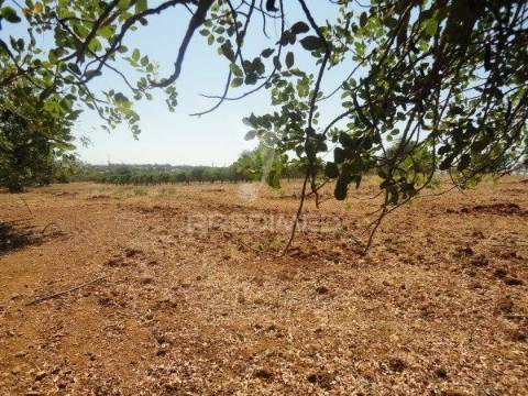 Terreno rustico com água de furo 7000m2