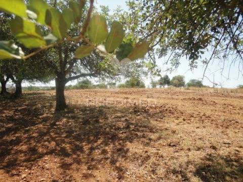Terreno rustico com água de furo 7000m2