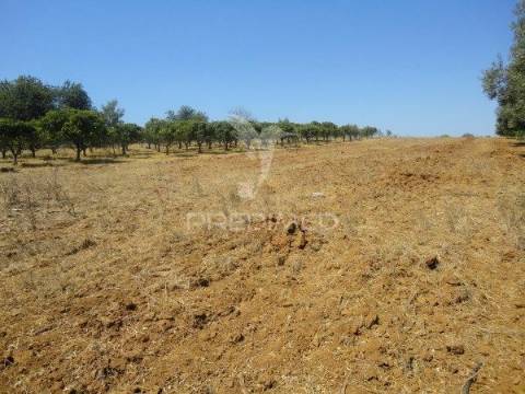 Terreno rustico com água de furo 7000m2