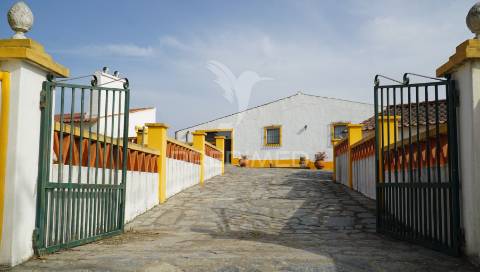 Monte alentejano