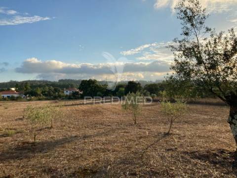 Terreno para construção em aljustrel muito proximo a fátima.