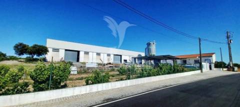 Armazém industrial e lote de terreno urbano