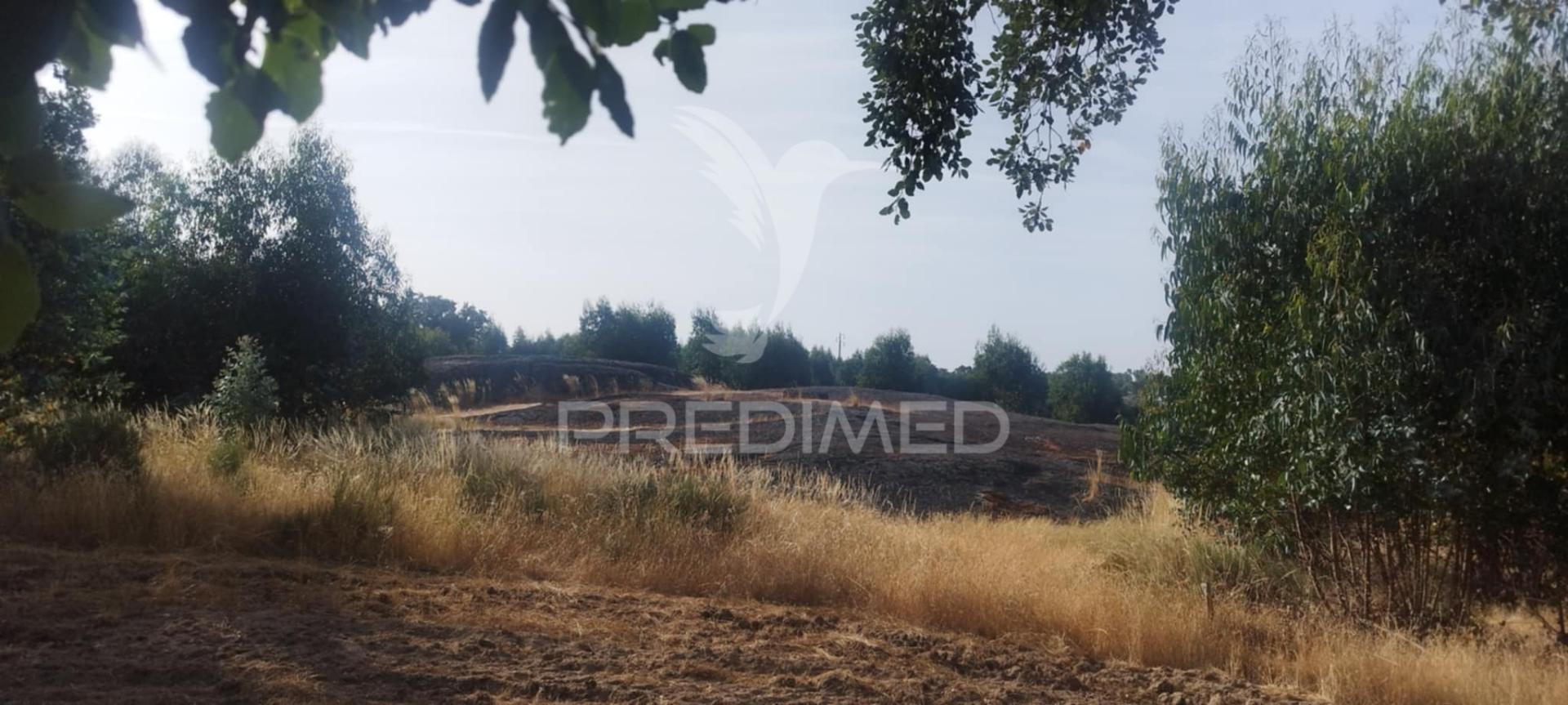 Terreno agricola /construção
