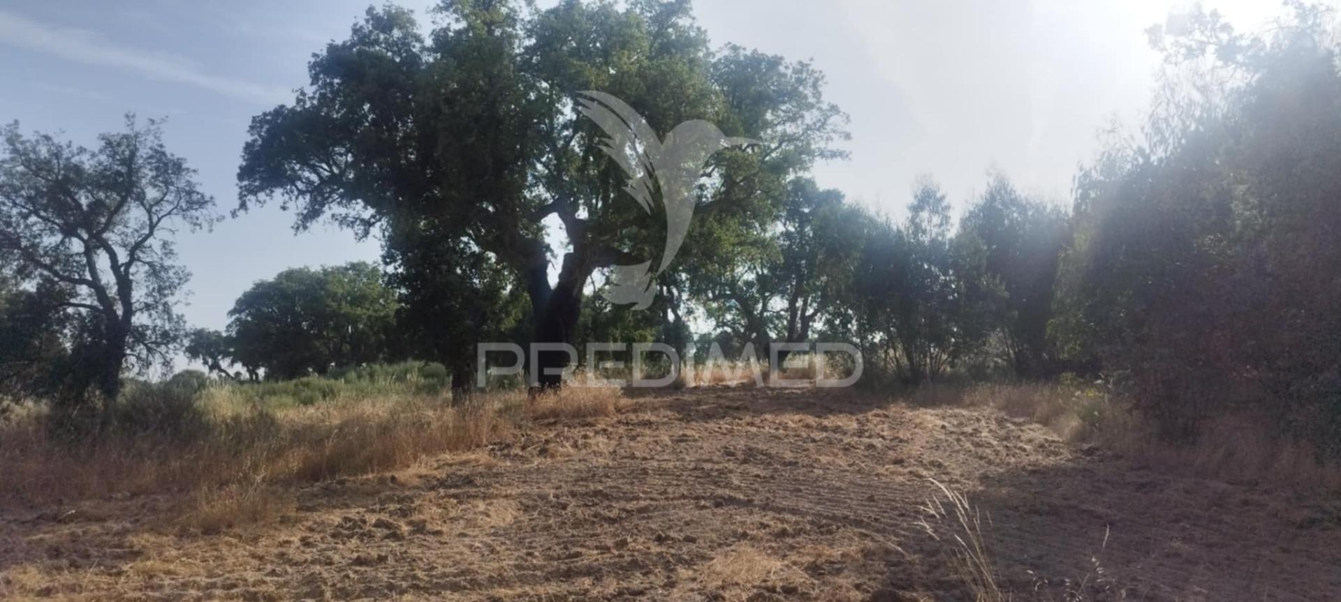 Terreno agricola /construção