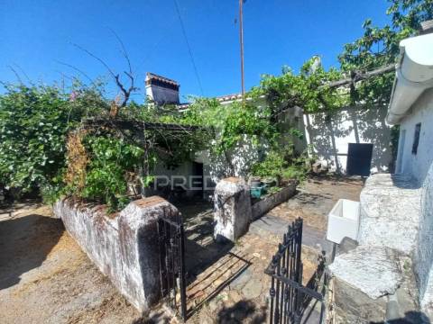 Quintinha são julião / portalegre