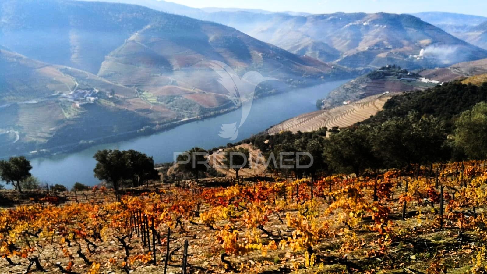 Terreno misto com vista total sobre o rio douro