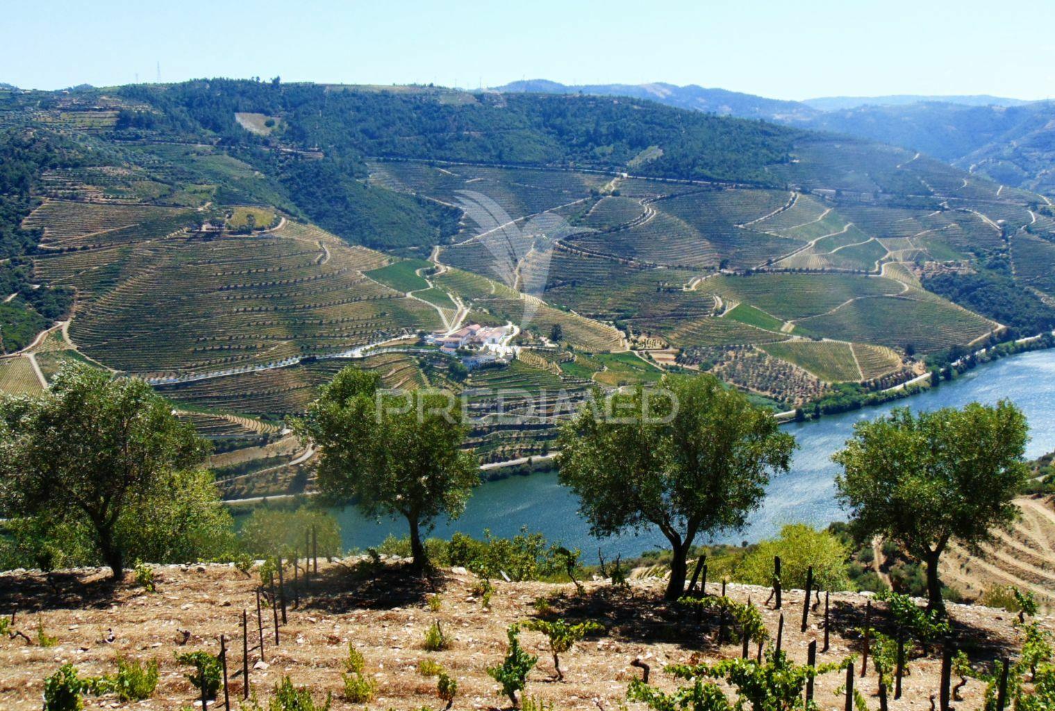 Terreno misto com vista total sobre o rio douro