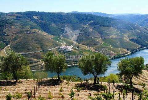 Terreno misto com vista total sobre o rio douro