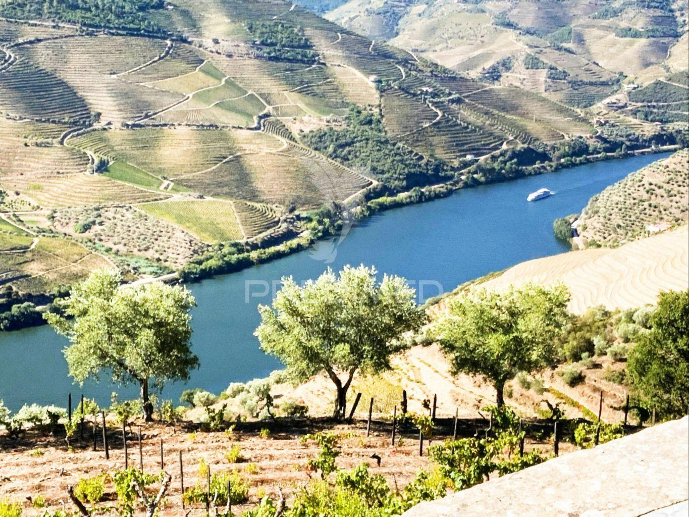 Terreno misto com vista total sobre o rio douro