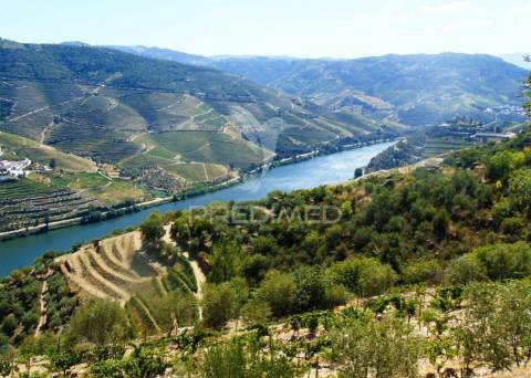 Terreno misto com vista total sobre o rio douro