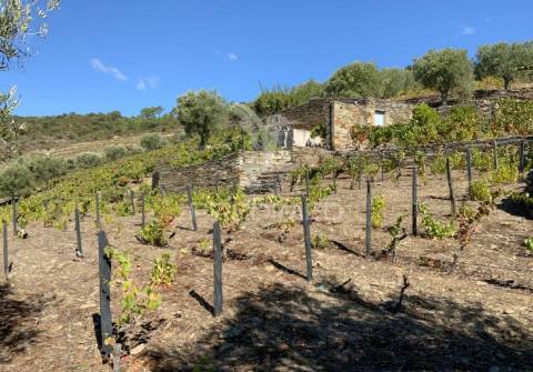Terreno misto com vista total sobre o rio douro
