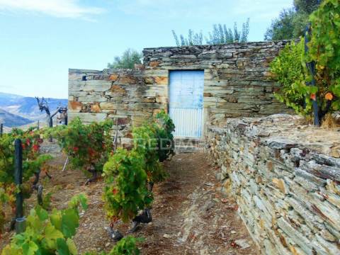 Terreno misto com vista total sobre o rio douro