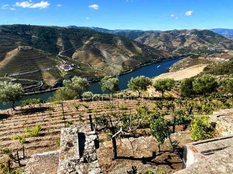 Terreno misto com vista total sobre o rio douro