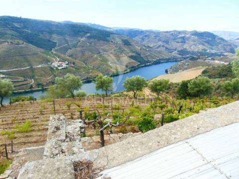 Terreno misto com vista total sobre o rio douro