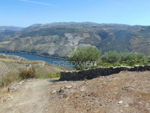 Terreno misto com vista total sobre o rio douro