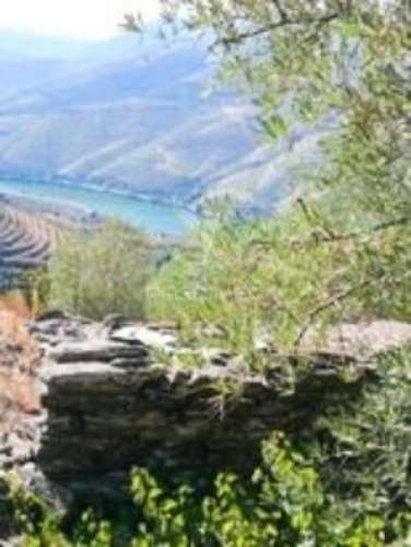 Terreno misto com vista total sobre o rio douro