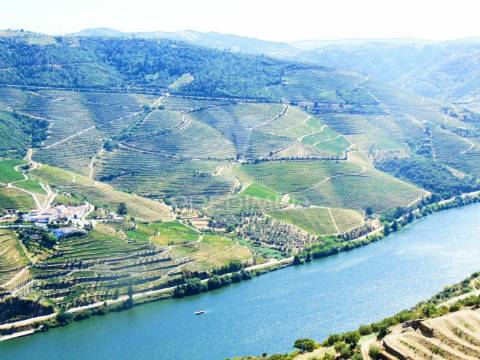Terreno misto com vista total sobre o rio douro