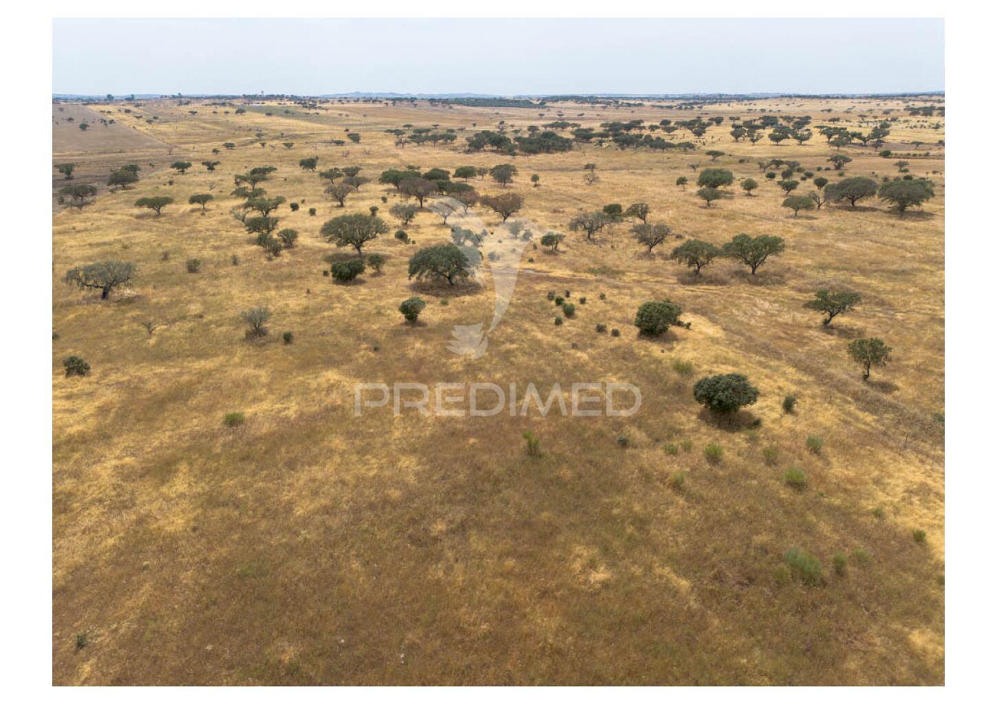 Terreno rústico de 10,95 hectares à venda –monte juntos , freguesia de capelins