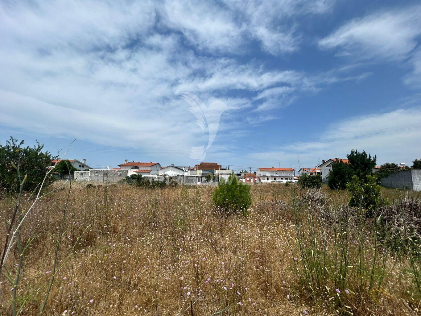 Terreno rústico com potencial urbano – gafanha da nazaré, ílhavo