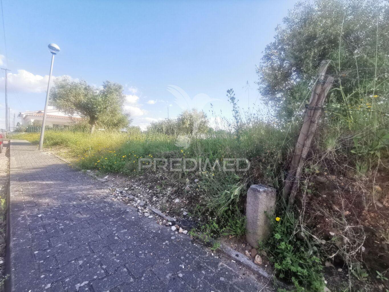 Terreno rustico