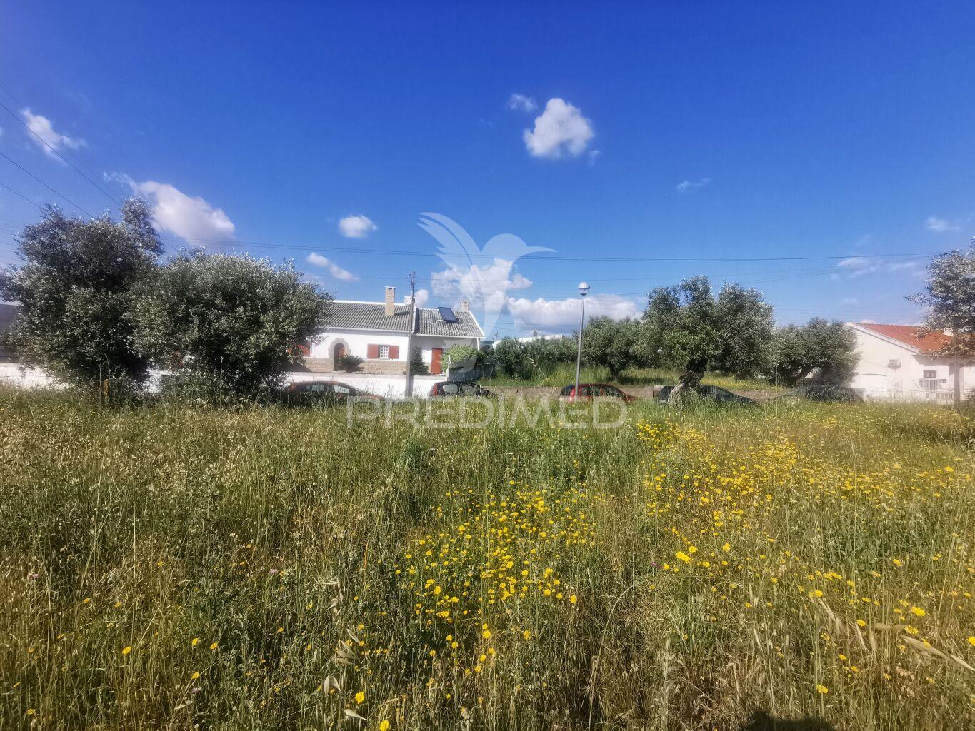 Terreno rustico