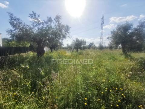 Terreno rustico