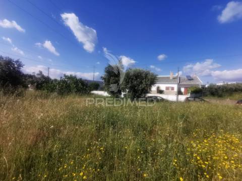 Terreno rustico