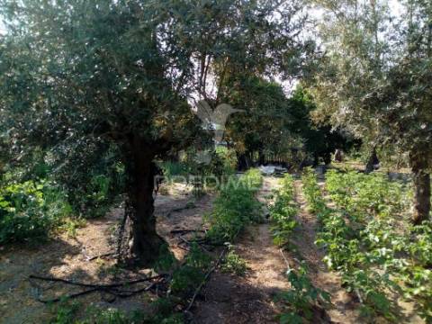 Moradias bi-familiar com terreno