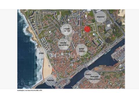 T1 leça de palmeira