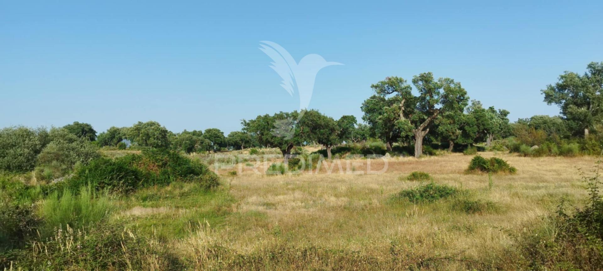 Herdade