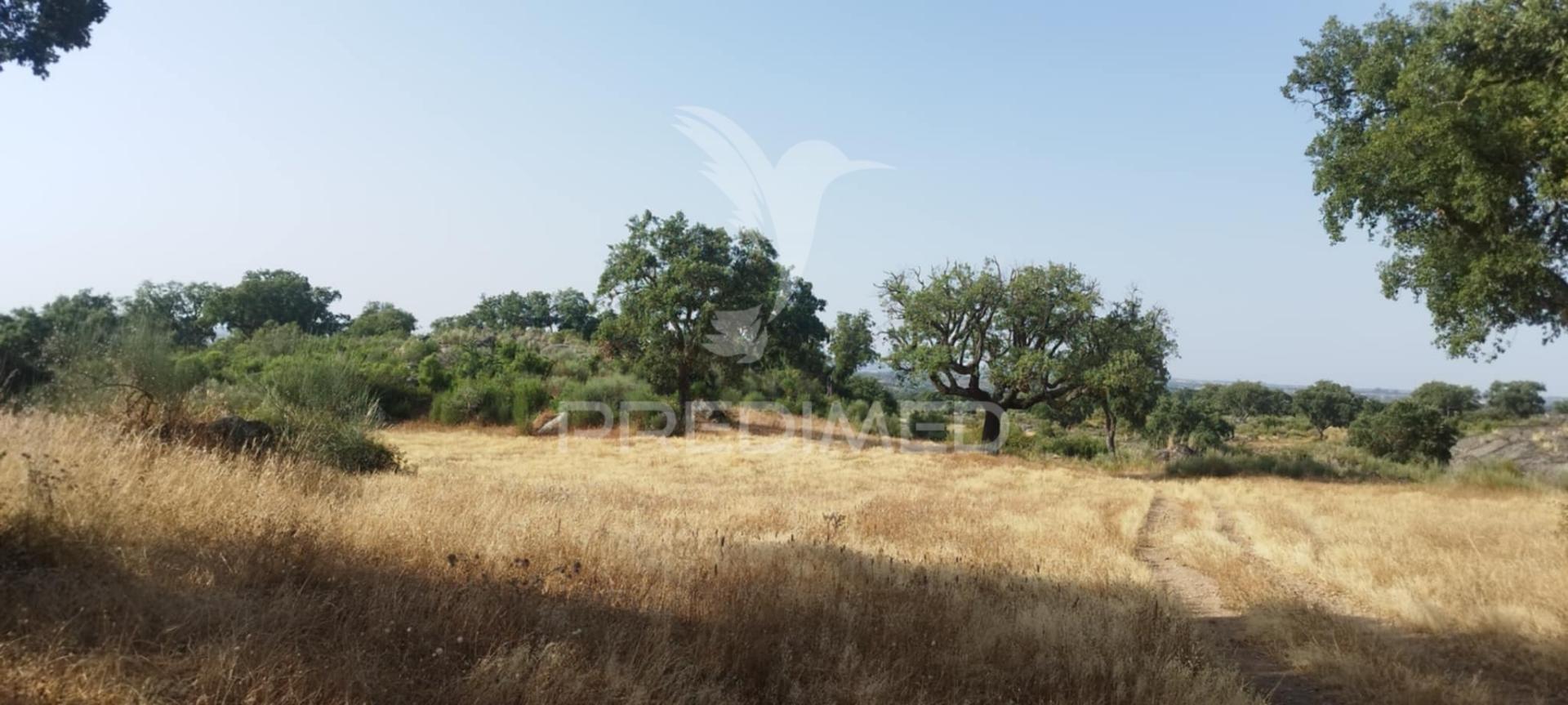 Herdade