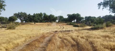 Herdade