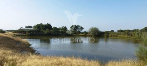 Herdade