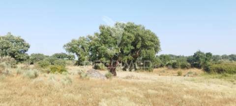 Herdade