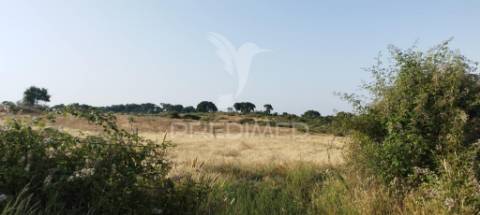 Herdade