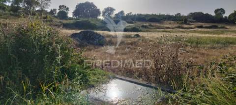 Herdade