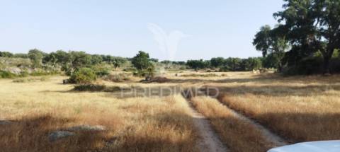 Herdade