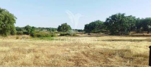 Herdade